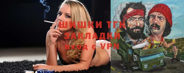 стаф Балахна