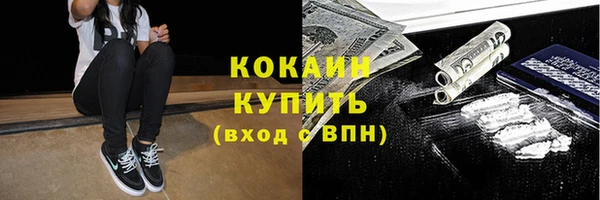 индика Баксан