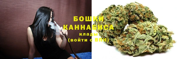 стаф Балахна