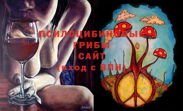 стаф Балахна