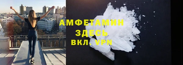 индика Баксан