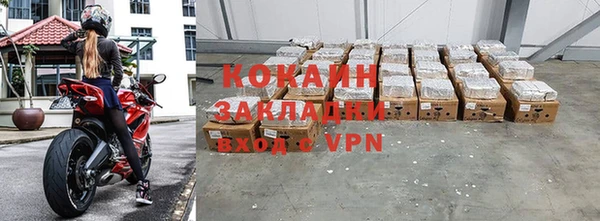 индика Баксан